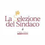 La Selezione del Sindaco 2017 - Cincinnato 2017 - Cincinnato