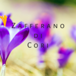 Lo zafferano di Cori utilizzato in agriturismo