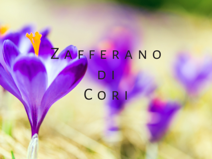 Lo zafferano di Cori utilizzato in agriturismo