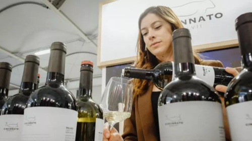 grande successo dei vini cincinnato al Vinitaly