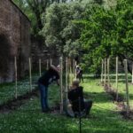 Iter Vitis tour Roma Palatino