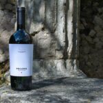 Italy has a hidden gem that can rival Pinot Noir while offering its own unique character. Discover the Italian alternative to Pinot Noir: Nero Buono!